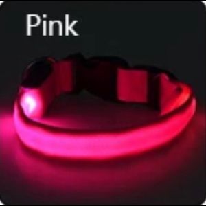 The Taking Caution Collar- Pink